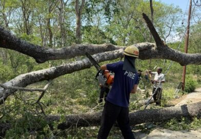 आंधी-तूफान के बीच देहरादून फायर सर्विस की सजगता, 24 घंटे में 19 आपातकालीन घटनाओं पर त्वरित एक्शन
