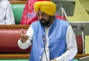 मजदूर दिवस पर भगवंत मान का ऐतिहासिक ऐलान: पंजाब में न्यूनतम मजदूरी में 15% की भारी बढ़ोतरी