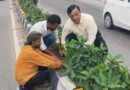 हरित दून का महाअभियान, एक लाख पौधों से एमडीडीए बदलेगा देहरादून की तस्वीर