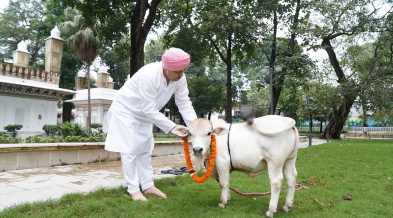  देहरादून में पहली बार नैनो गाय को देखकर खिले पशु प्रेमियों के चेहरे
